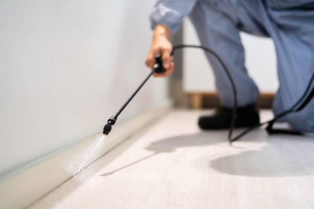 Licensed Termite Control service in Cana, VA - Nex Pest Control