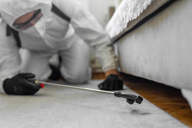 Professional Termite Control technician working in Cana, VA