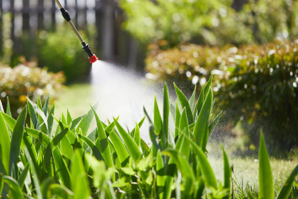 24/7 Emergency Termite Control experts in Cana, VA